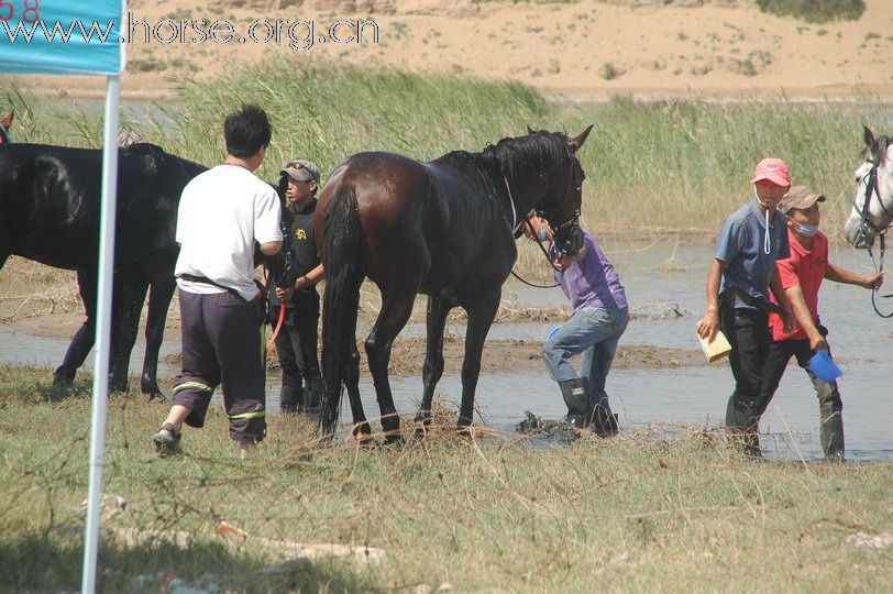 拥抱母亲河：银川耐力赛休停检查点