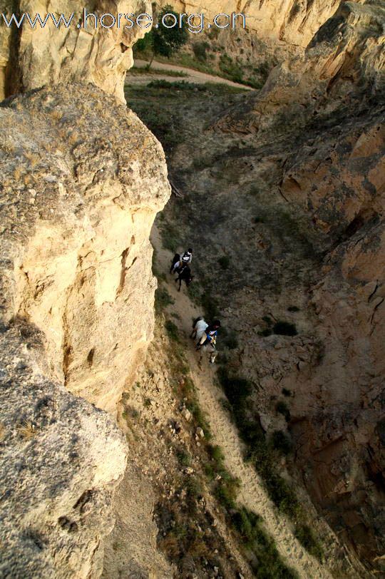 走出峡谷，拥抱夕阳：银川耐力赛终点