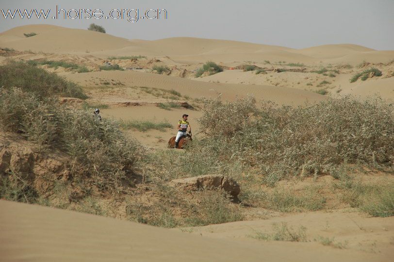 极限挑战，冲出沙漠：银川耐力赛第四赛段