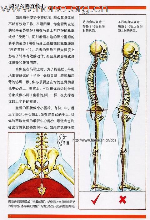 [分享]改进骑手的姿势