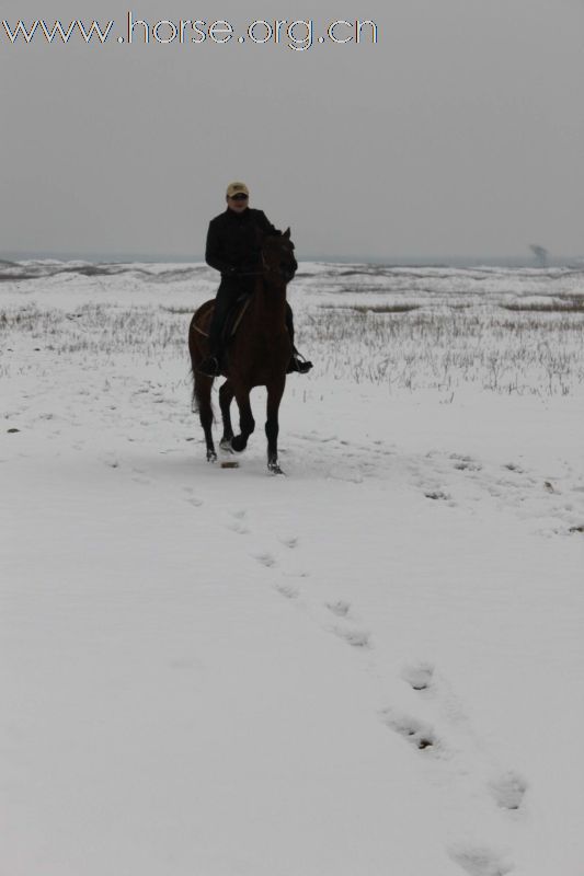 2011踏雪