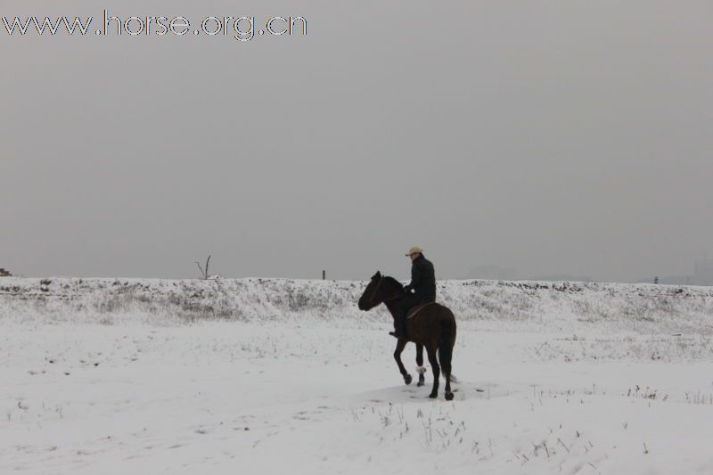 2011踏雪