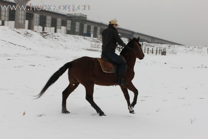 2011踏雪