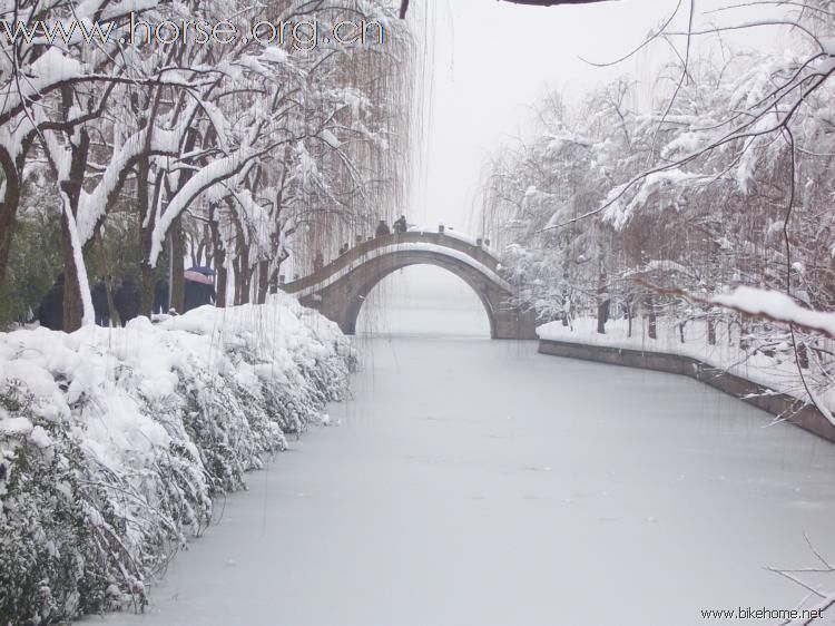 雪景清独影，赋诗为饮酒