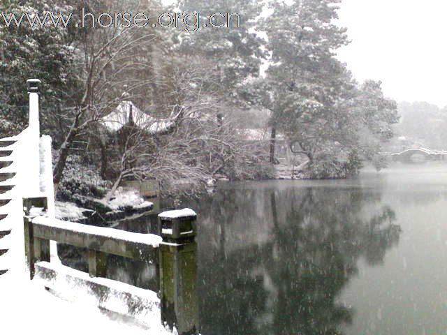 雪景清独影，赋诗为饮酒