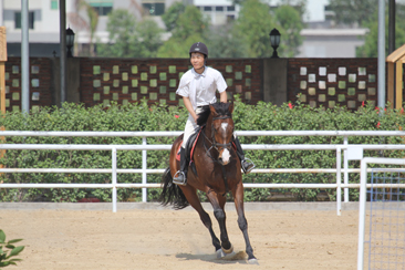 2011年广东省第二届柏骏杯马术场地障碍邀请赛照片,花絮.