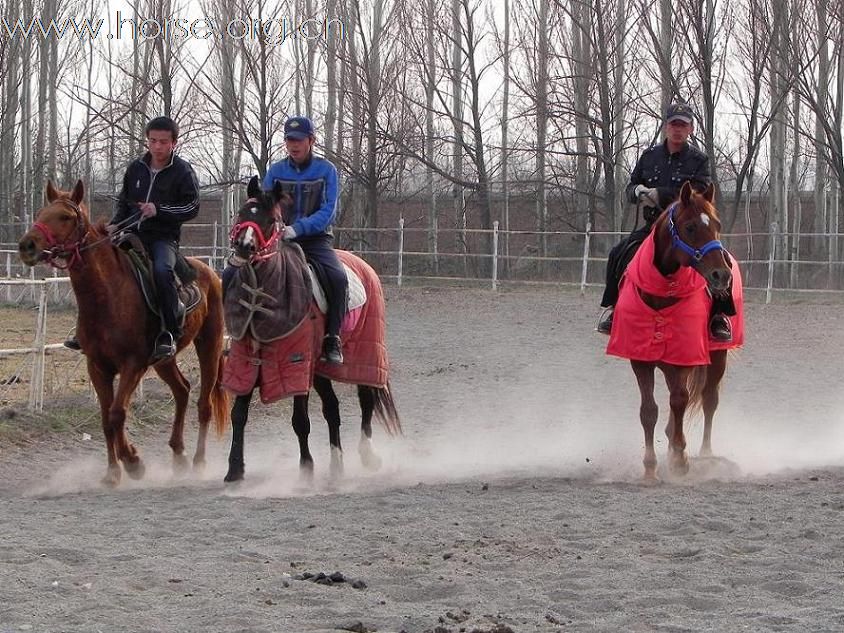 [原创]一起分享新疆的赛马，热情高涨、道路艰险!