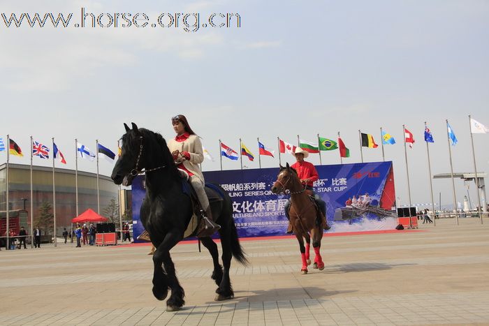 2011年4月17日青岛马协马术展示活动精彩图片（奥帆中心）