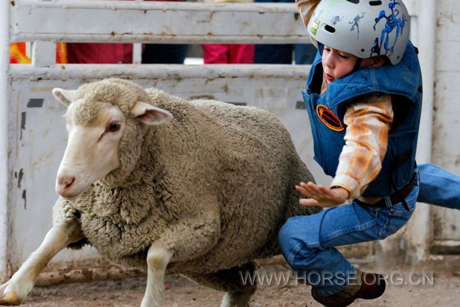 小孩子騎綿羊 2.jpg