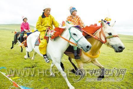 藏族赛马9.jpg