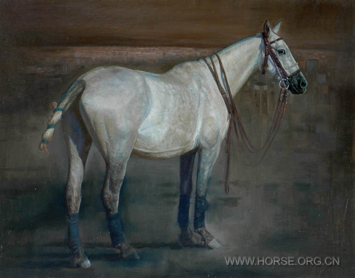 油画《意象中的马NO5》117X91CM。2010。11。DSC_5160.JPG