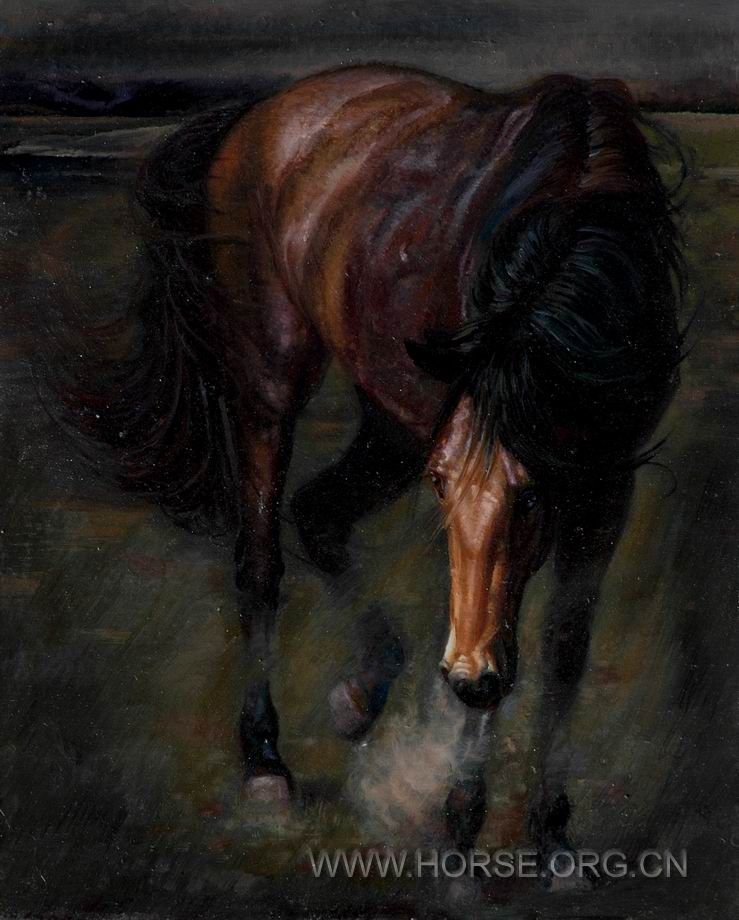 油画《意象中的马NO7》80X65CM。2011.0119。DSC_6609.JPG