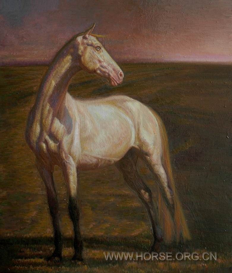 油画《意象中的马NO16》54X46CM。2011。02.04。DSC_7027.JPG