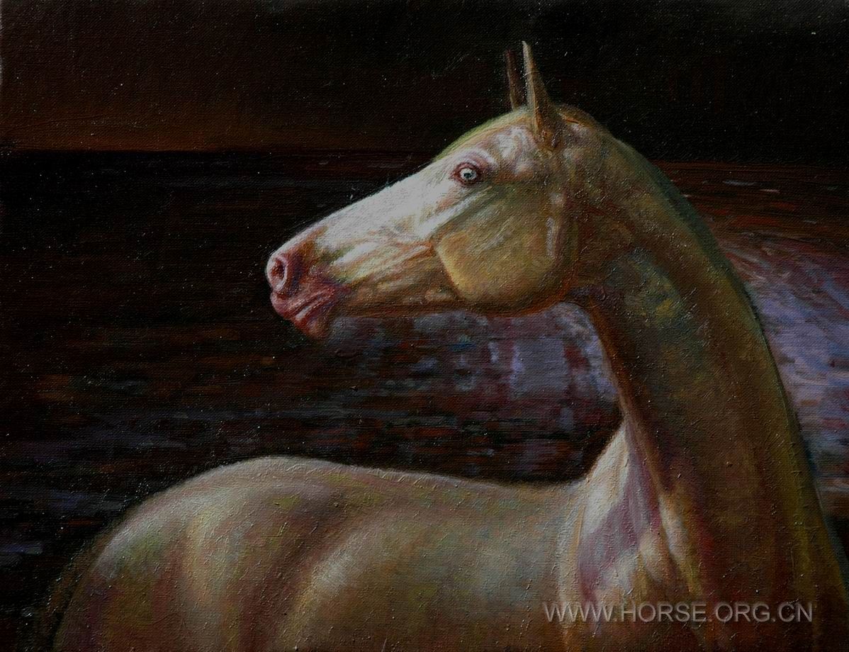 油画《意象中的马NO19》41X32CM。2011.02.05DSC_6683