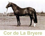 Cor_de_La_Bryere.jpg