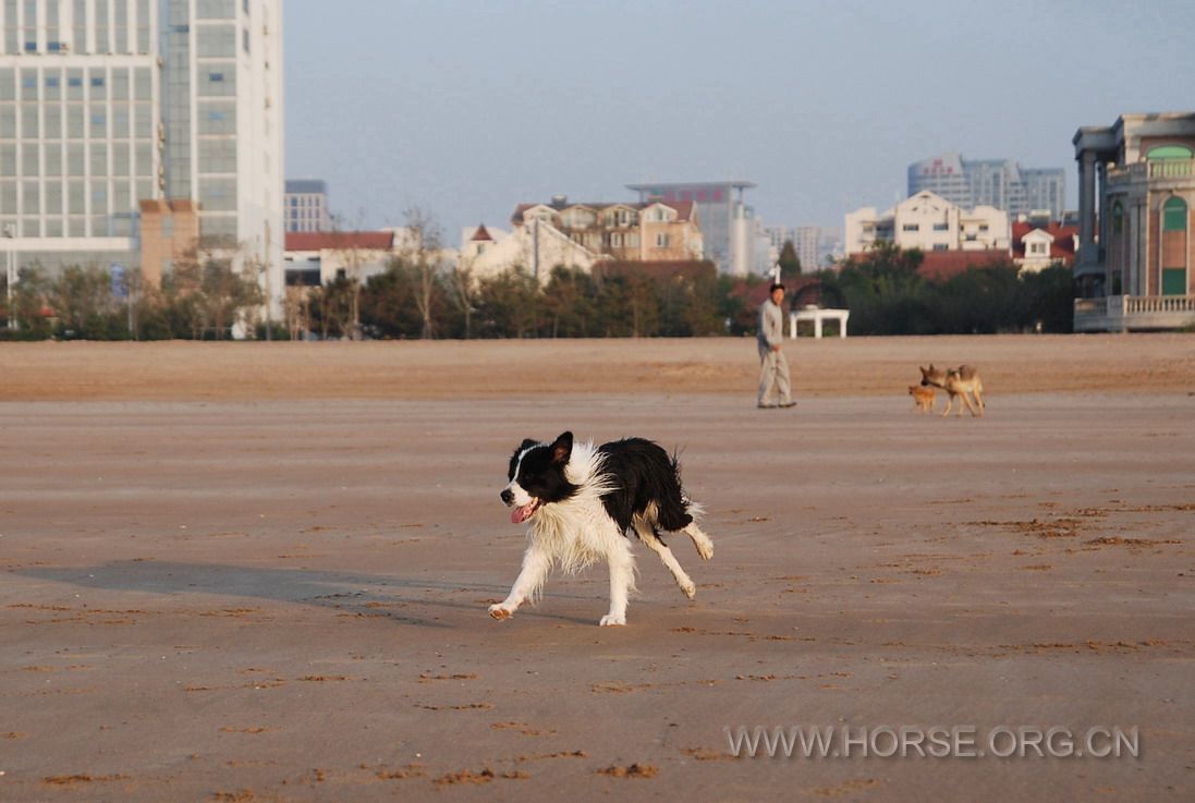 20121010 TsingTao seaside riding (46).jpg