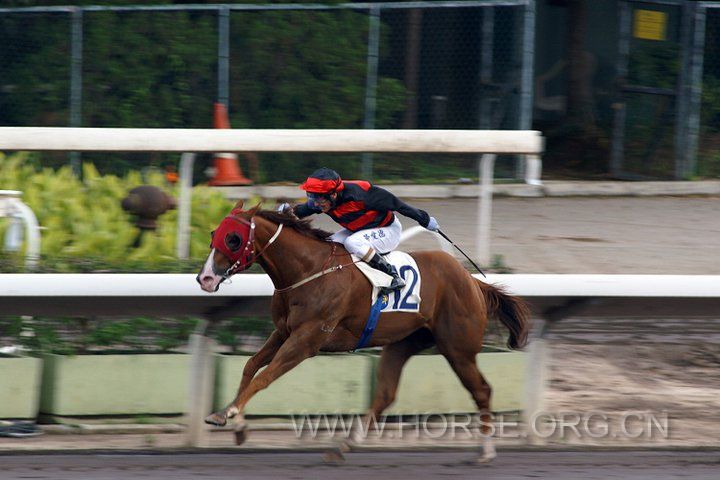 20110701 Sha Tin Racecourse (19).jpg