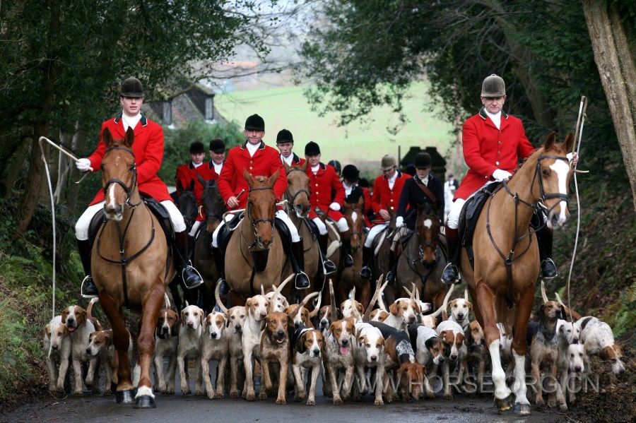 20121226 hunting, UK.jpg