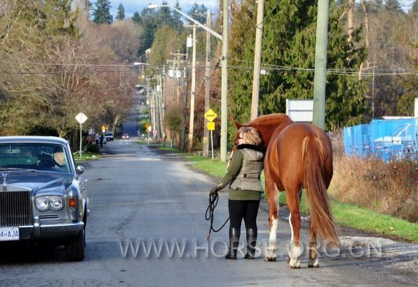 Canada bridle way (69).jpg