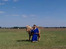 蒙古人与马