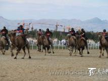新疆：赛马、赛骆驼