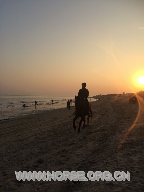 夕阳、沙滩、骑马