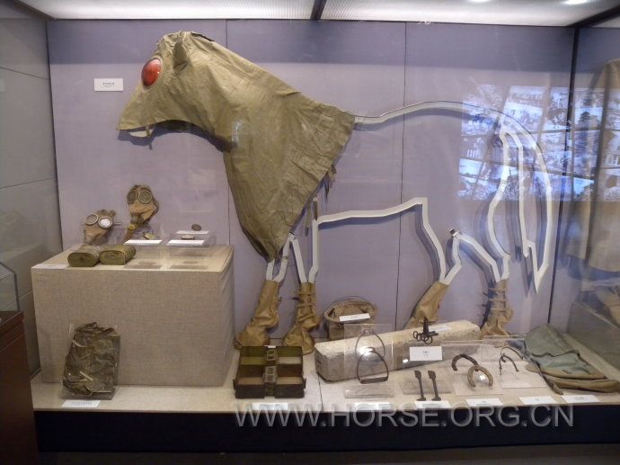 博物馆里的马用防毒覆和绑腿的使用