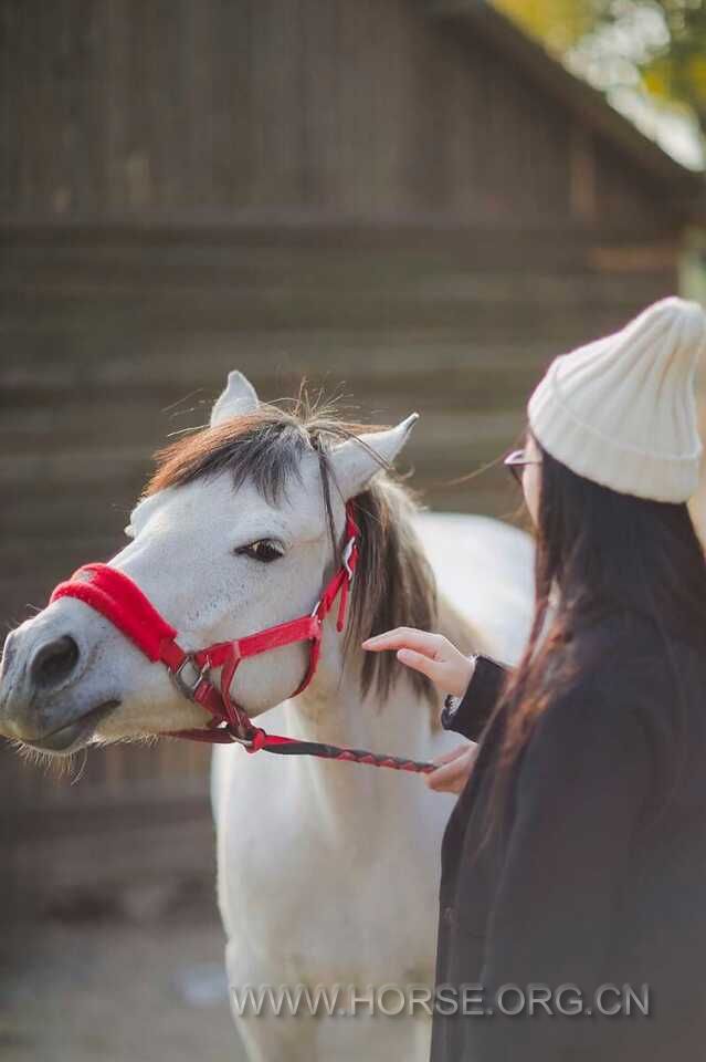 伊丽莎白