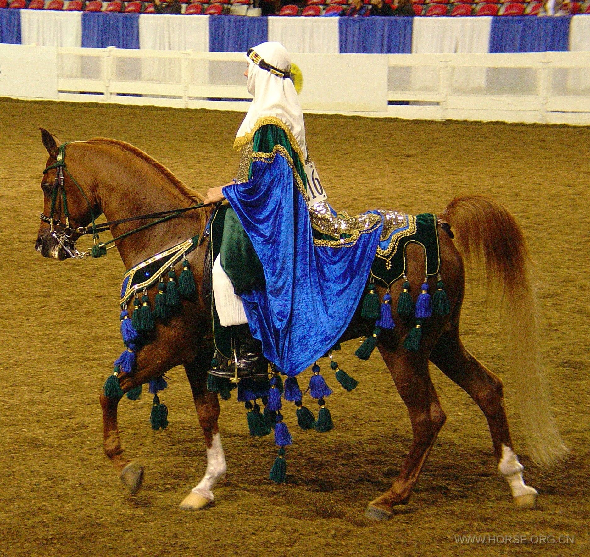 Arabian Horse native custume
