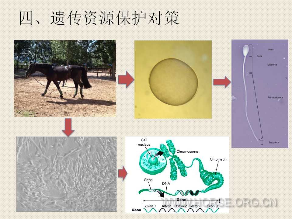 幻灯片28.jpg