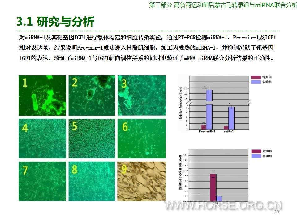 幻灯片29.jpg