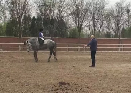 咋样才能学会骑马 151256ge6nmcd20m0zpkor.jpg