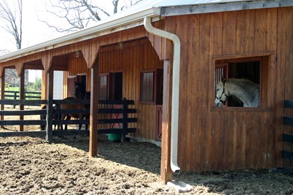 TH-LEGACY-IMAGE-ID-279-barn-with-gray-horse-and-ponies.jpg