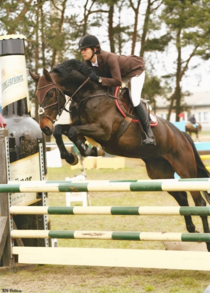 Diarado, 6 y old, 1.25 m pl, Daniel's Jack1.jpg