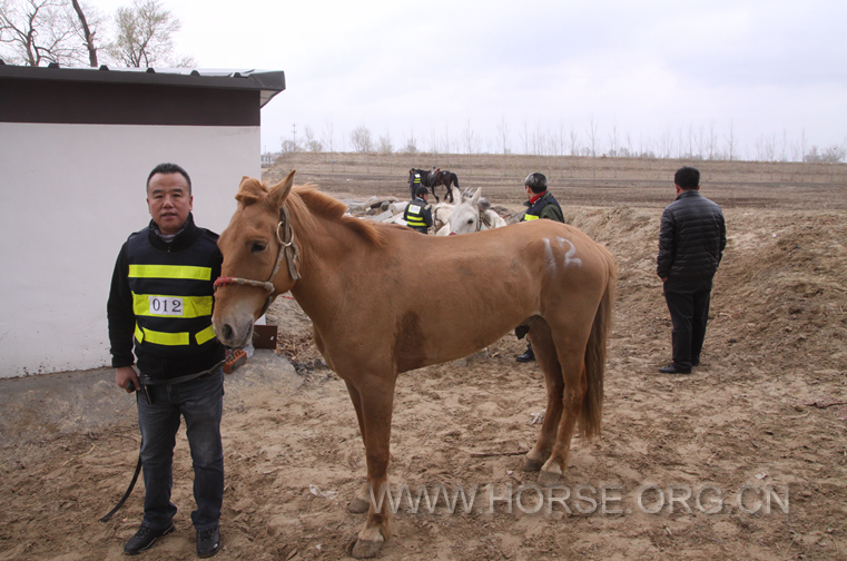 guozhuang1975_1460910281840_98.png