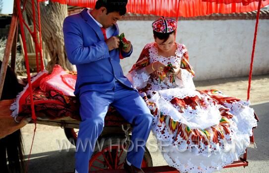 4月25日，一对维吾尔族新人坐在马车上整理胸花。.jpg
