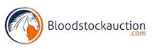 D03 Bloodstockauction.com.png