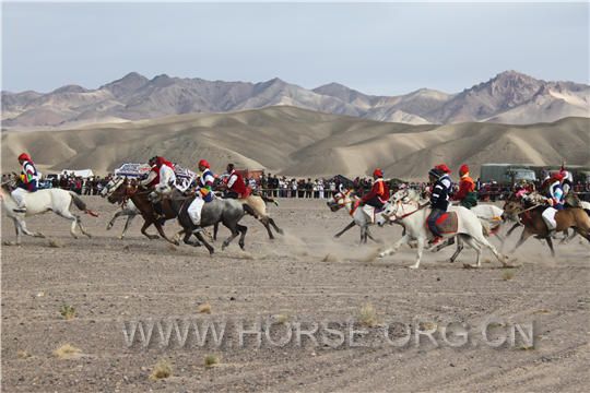 1藏族牧民在象雄艺术节上赛马.jpg