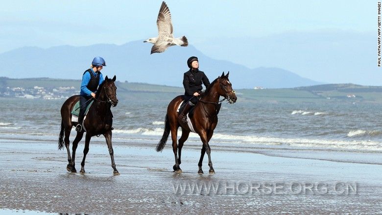 160916112407-laytown-beach-horse-racing-ireland-exlarge-169.jpg