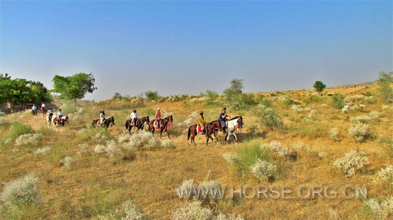 Rajasthan-Desert-Ride-20.jpg