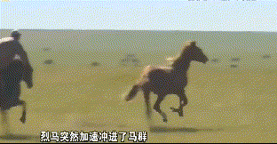 23.gif