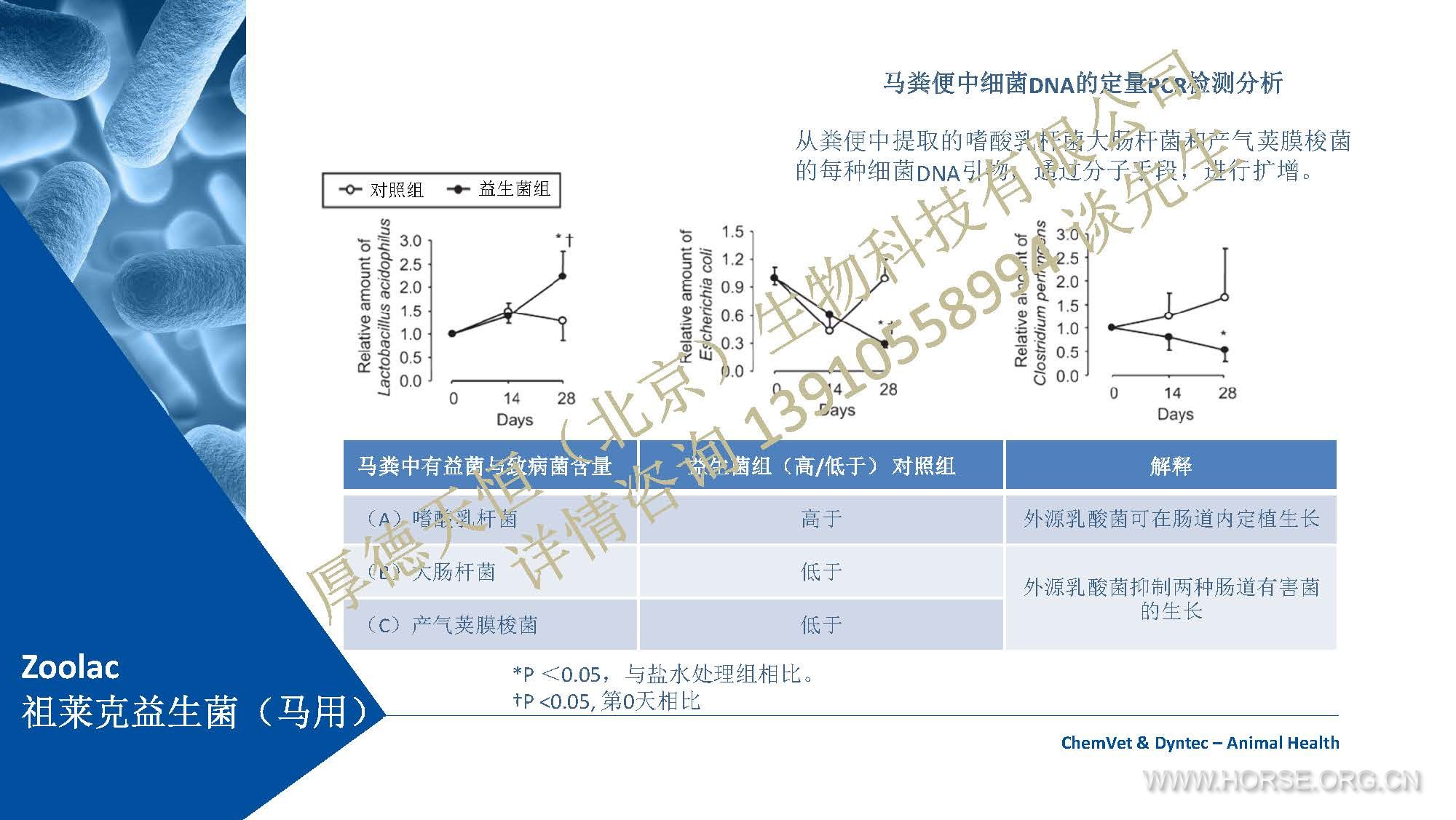 Zoolac公司产品介绍 2019 (中文)-马用-编辑素材 （公司水印电话版）_Page_15.jpg.jpg