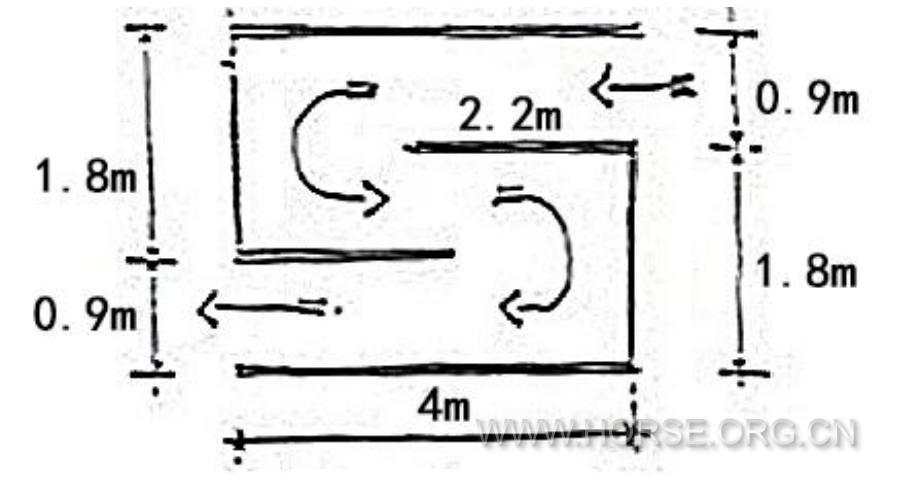 21、S弯慢步牵行 IN-HAND S-BEND.png