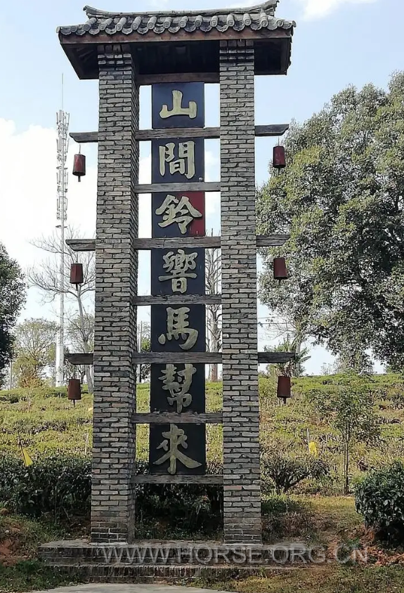 滇马9.png