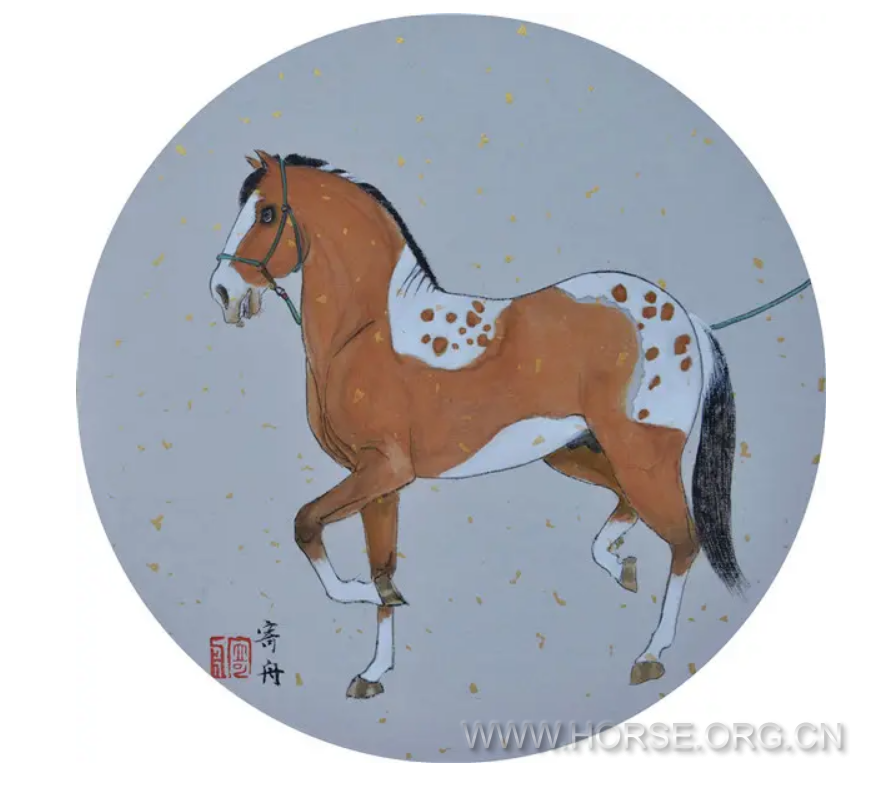 五花马7.png