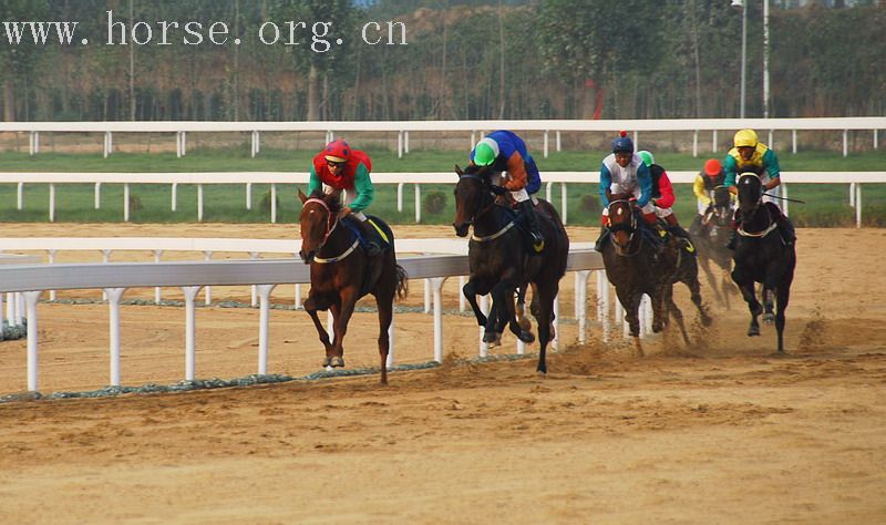 2006全国速度赛马28日决赛（南京）