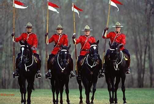又见加拿大皇家骑警~~给我们马盟制服的参考