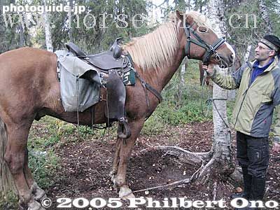 野外騎乘之﹝3﹞芬蘭馬 Finnish Horse
