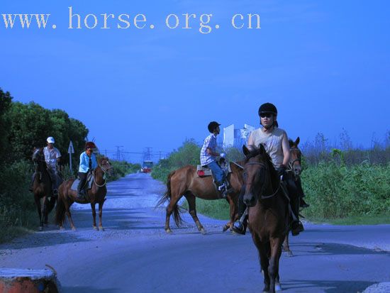 胜夏37度在上海车墩野骑