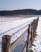 雪地跑马场(贴图)